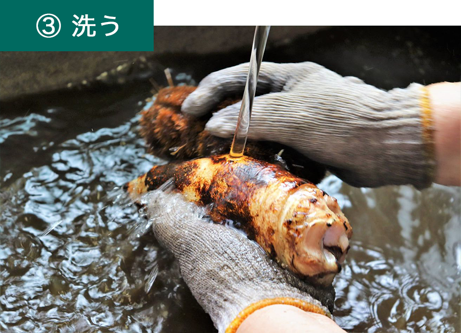 ③洗う